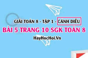 Giải bài 5 trang 10 Toán 8 Tập 1 SGK Cánh Diều